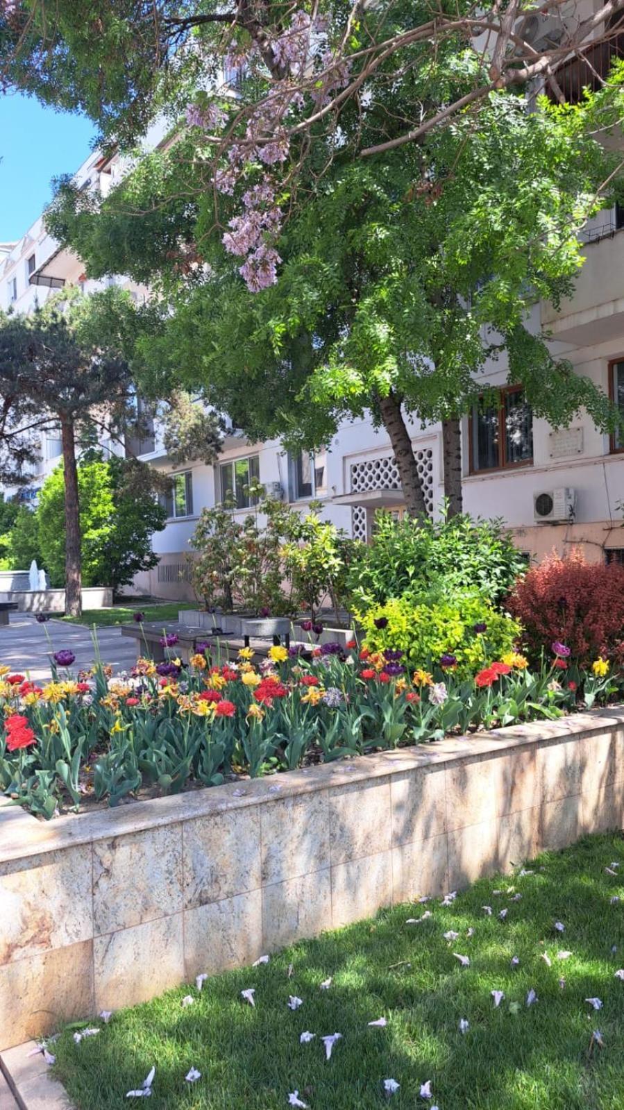 Apartament Kitty Centrul Istoric Craiova Extérieur photo
